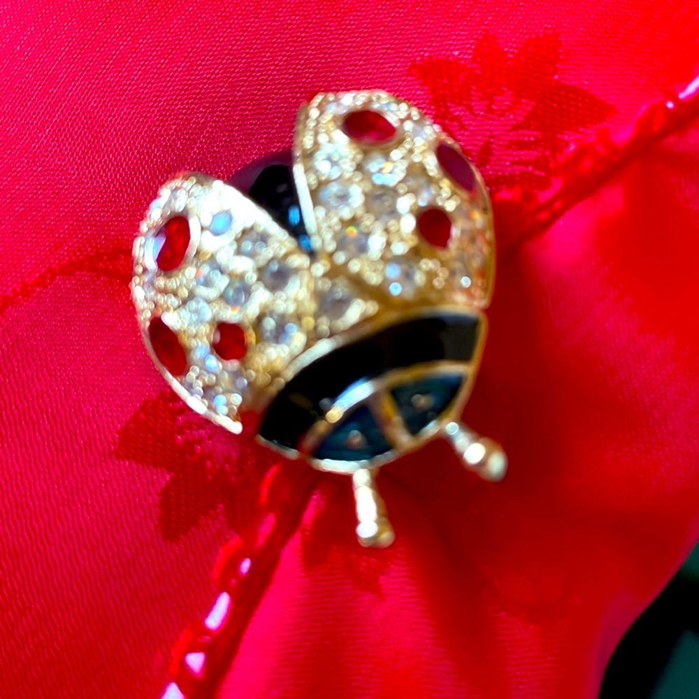 Vintage Roman lady bug broach.